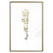 Wall Poster Golden Branch - golden-gray plant on a contrasting white background 125366 additionalThumb 14