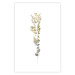 Wall Poster Golden Branch - golden-gray plant on a contrasting white background 125366 additionalThumb 26