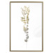 Wall Poster Golden Branch - golden-gray plant on a contrasting white background 125366 additionalThumb 27