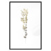 Wall Poster Golden Branch - golden-gray plant on a contrasting white background 125366 additionalThumb 15