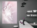 Wall Poster Shining Feather - feather with a water droplet in a pink abstract glow 125866 additionalThumb 17