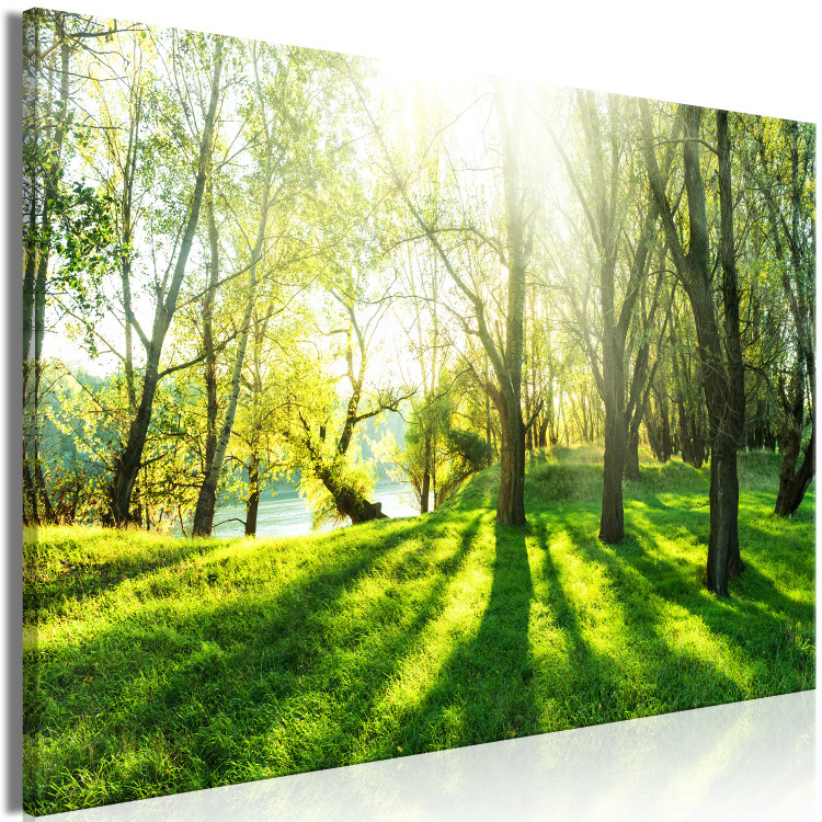 Large canvas print Rays of Sunshine [Large Format] 128666 additionalImage 3