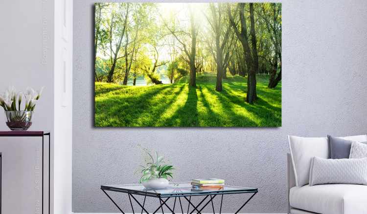 Large canvas print Rays of Sunshine [Large Format] 128666 additionalImage 6