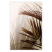 Wall Poster Rhythmic Tones: Sepia - summer composition with tropical palm leaves 129466