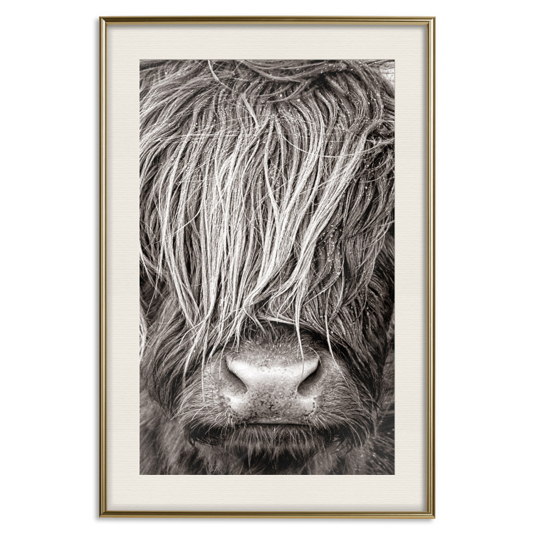 Wall Poster Face to Face with Nature - black and white portrait of an animal with hair 130266 additionalImage 20