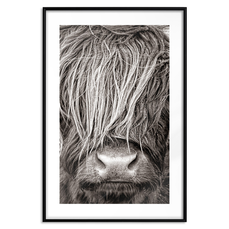 Wall Poster Face to Face with Nature - black and white portrait of an animal with hair 130266 additionalImage 15