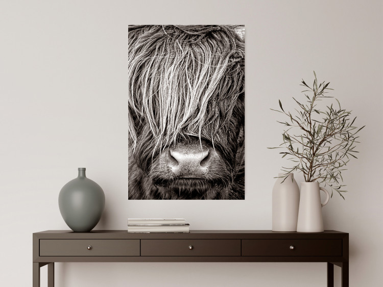 Wall Poster Face to Face with Nature - black and white portrait of an animal with hair 130266 additionalImage 2