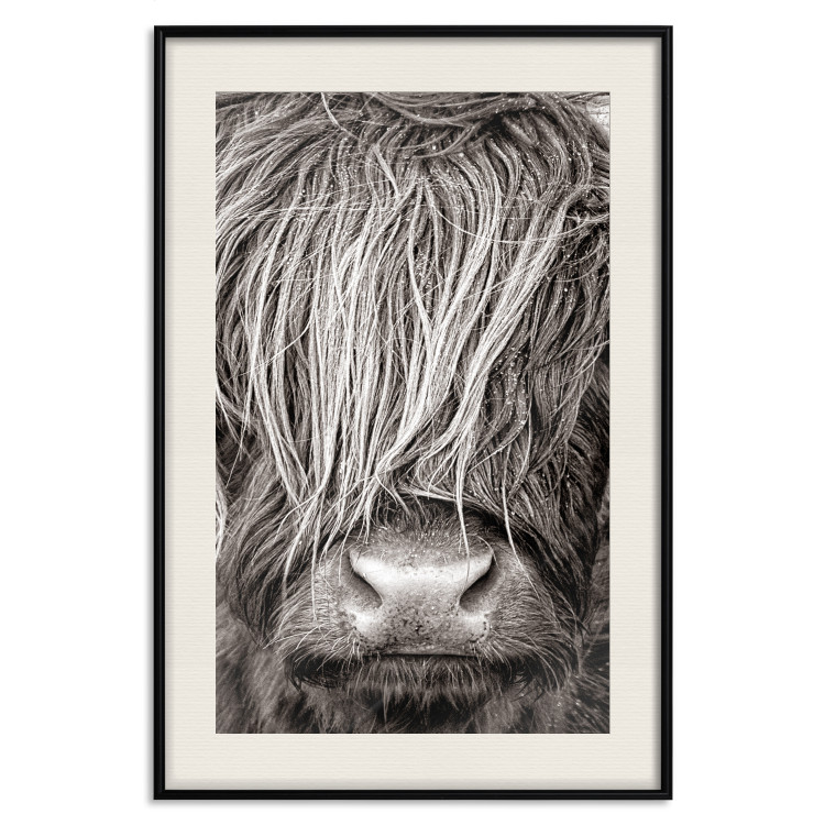 Wall Poster Face to Face with Nature - black and white portrait of an animal with hair 130266 additionalImage 19