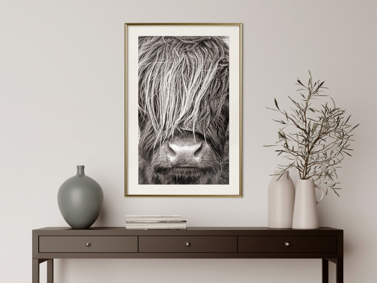 Wall Poster Face to Face with Nature - black and white portrait of an animal with hair 130266 additionalImage 22