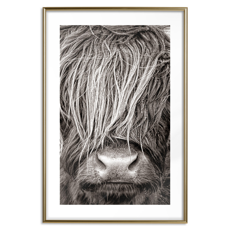 Wall Poster Face to Face with Nature - black and white portrait of an animal with hair 130266 additionalImage 14
