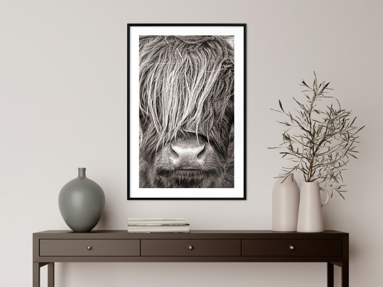 Wall Poster Face to Face with Nature - black and white portrait of an animal with hair 130266 additionalImage 23