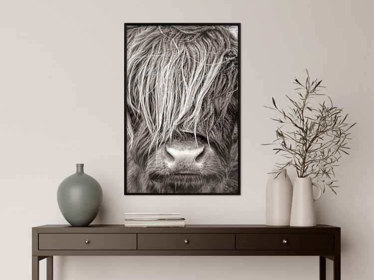 Wall Poster Face to Face with Nature - black and white portrait of an animal with hair 130266 additionalImage 4