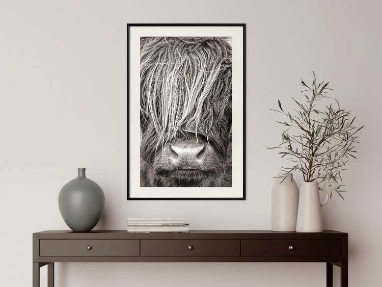 Wall Poster Face to Face with Nature - black and white portrait of an animal with hair 130266 additionalImage 24