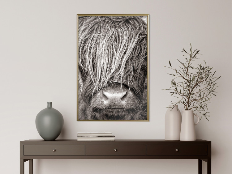 Wall Poster Face to Face with Nature - black and white portrait of an animal with hair 130266 additionalImage 7