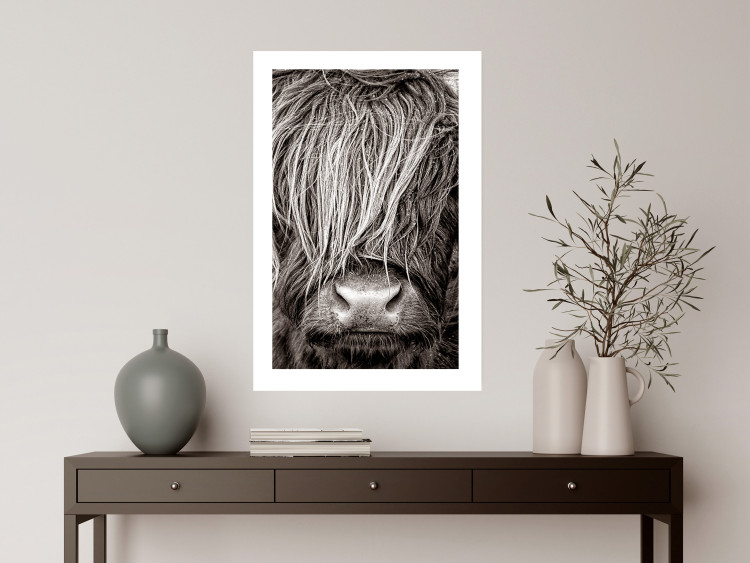 Wall Poster Face to Face with Nature - black and white portrait of an animal with hair 130266 additionalImage 3