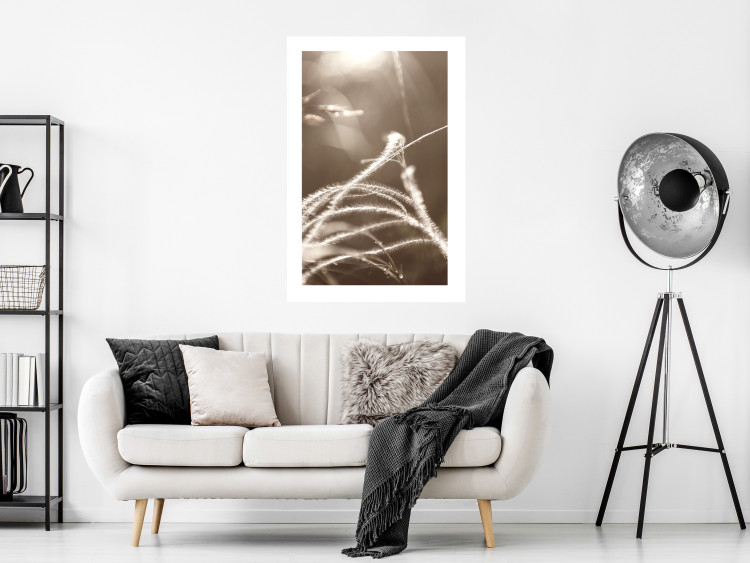Poster Fluffy Grass - a natural landscape of grass on a meadow in sepia tones 130766 additionalImage 6