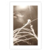 Poster Fluffy Grass - a natural landscape of grass on a meadow in sepia tones 130766 additionalThumb 19