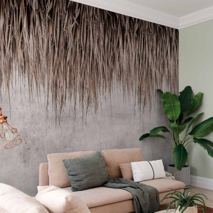 Wall Mural Canopy - minimalist motif of dried plants on a concrete background 134566