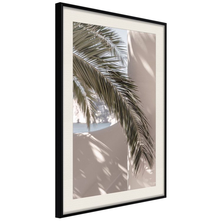 Poster Terrace with a View - natural composition of palm tree against a light wall 134766 additionalImage 2