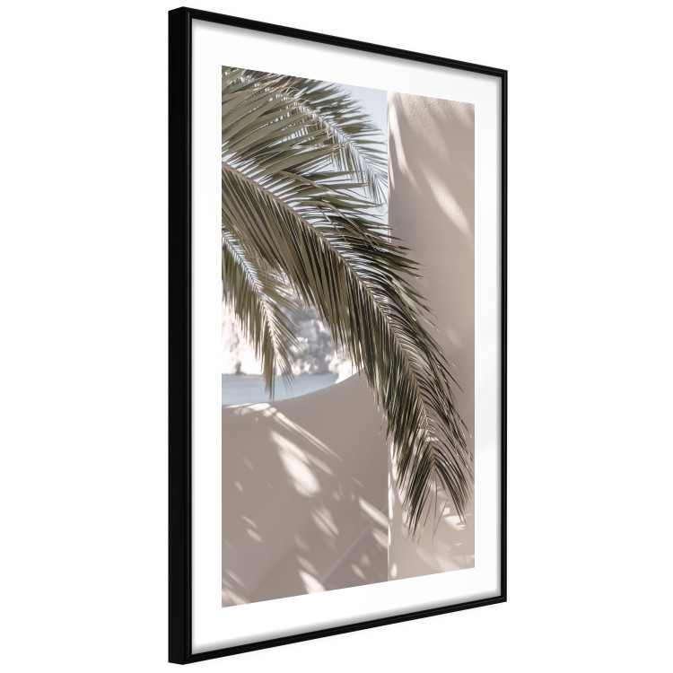 Poster Terrace with a View - natural composition of palm tree against a light wall 134766 additionalImage 8
