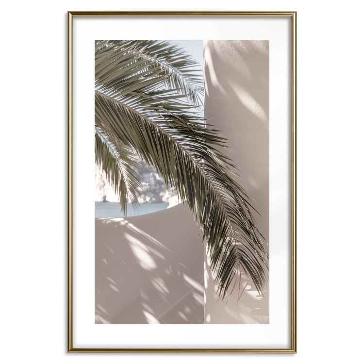 Poster Terrace with a View - natural composition of palm tree against a light wall 134766 additionalImage 16