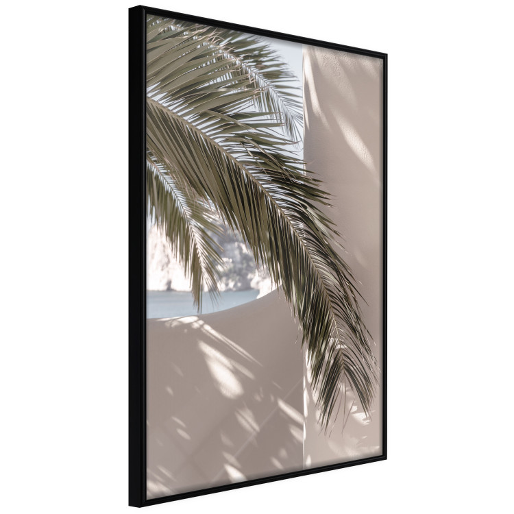 Poster Terrace with a View - natural composition of palm tree against a light wall 134766 additionalImage 13