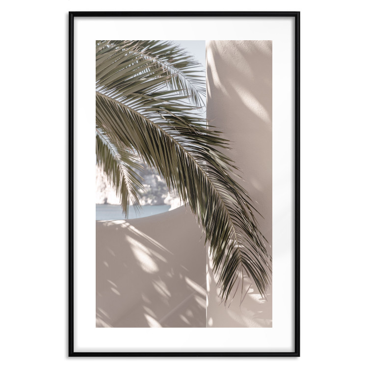 Poster Terrace with a View - natural composition of palm tree against a light wall 134766 additionalImage 15