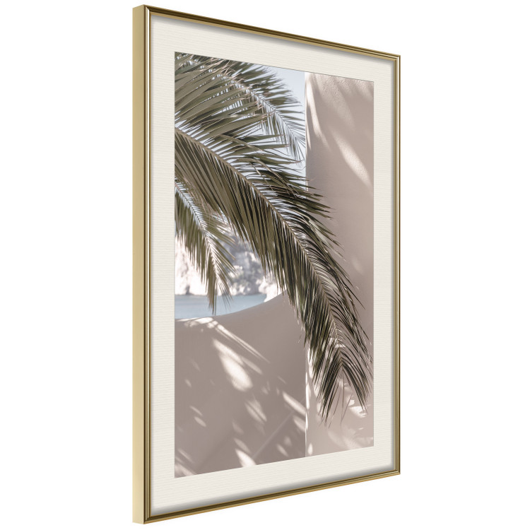 Poster Terrace with a View - natural composition of palm tree against a light wall 134766 additionalImage 3