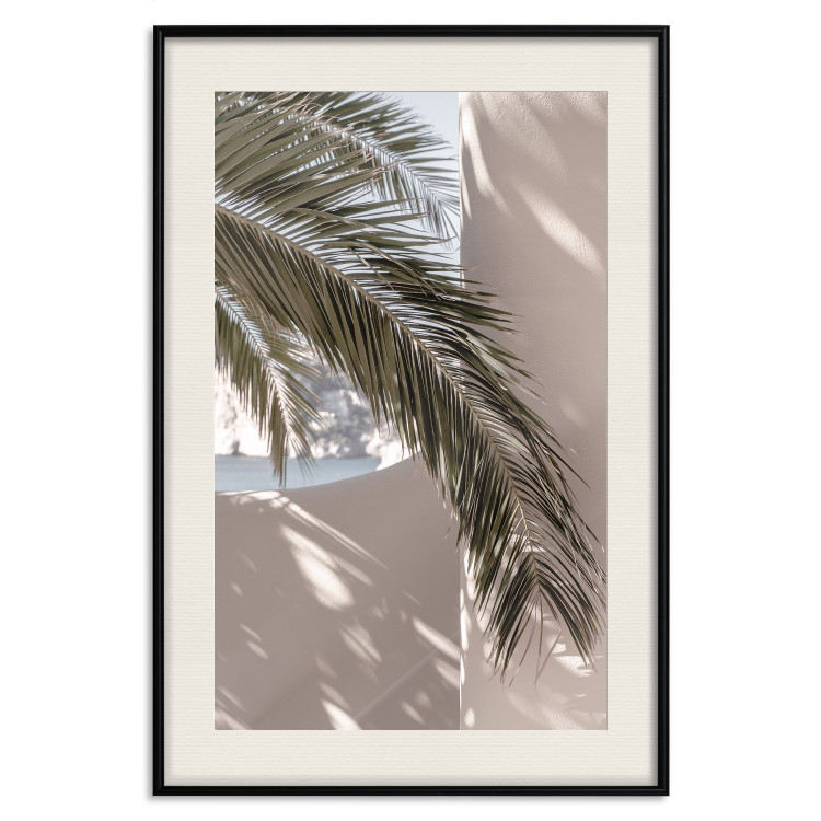Poster Terrace with a View - natural composition of palm tree against a light wall 134766 additionalImage 19