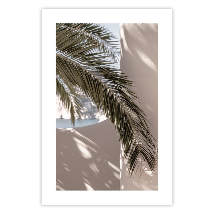 Poster Terrace with a View - natural composition of palm tree against a light wall 134766 additionalImage 19