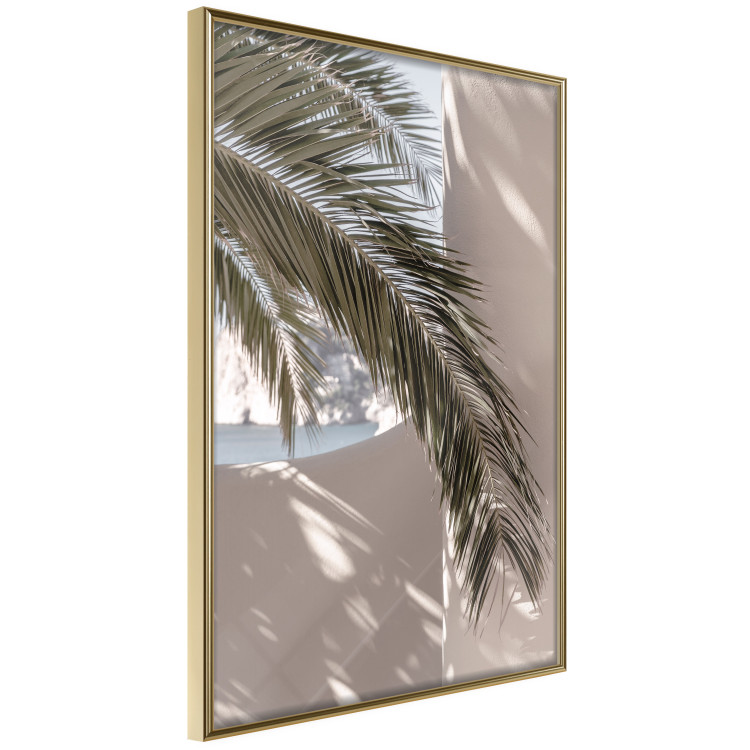 Poster Terrace with a View - natural composition of palm tree against a light wall 134766 additionalImage 14