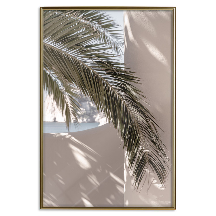 Poster Terrace with a View - natural composition of palm tree against a light wall 134766 additionalImage 21