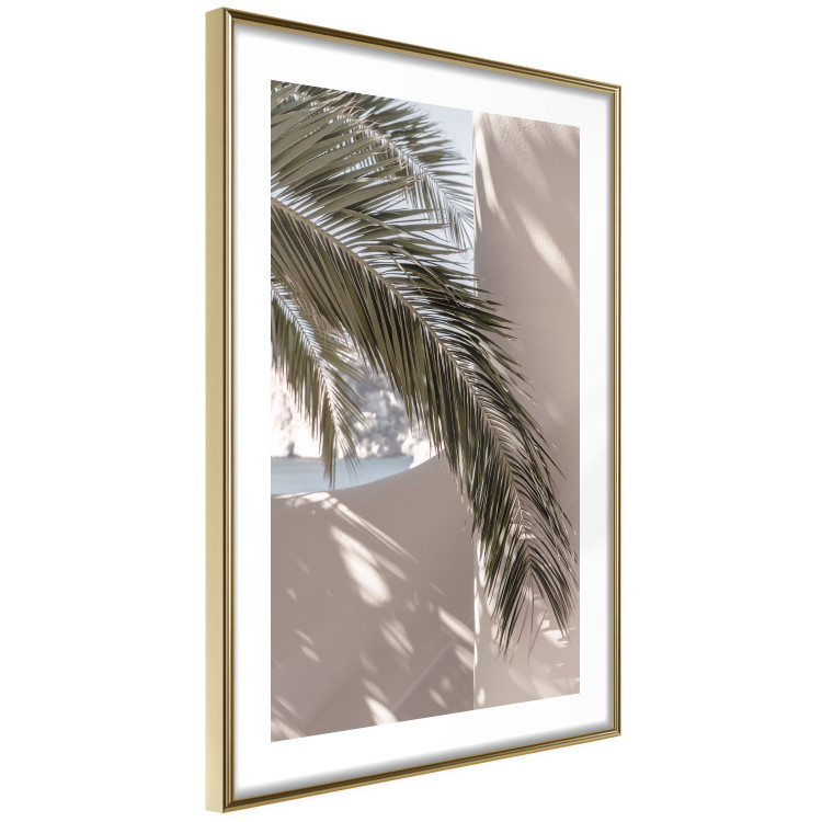 Poster Terrace with a View - natural composition of palm tree against a light wall 134766 additionalImage 9