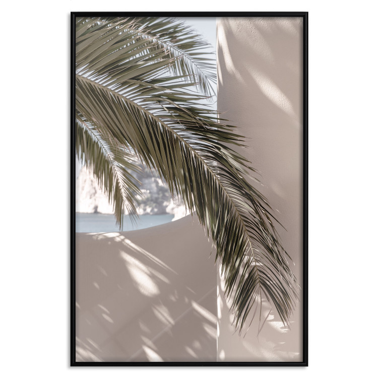 Poster Terrace with a View - natural composition of palm tree against a light wall 134766 additionalImage 18