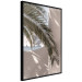 Poster Terrace with a View - natural composition of palm tree against a light wall 134766 additionalThumb 11
