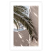Poster Terrace with a View - natural composition of palm tree against a light wall 134766 additionalThumb 25