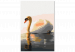 Paint by number Stately Swan 138666 additionalThumb 3