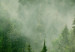 Round Canvas Foggy Forest - Landscape With Trees Among High Mountains 148666 additionalThumb 3