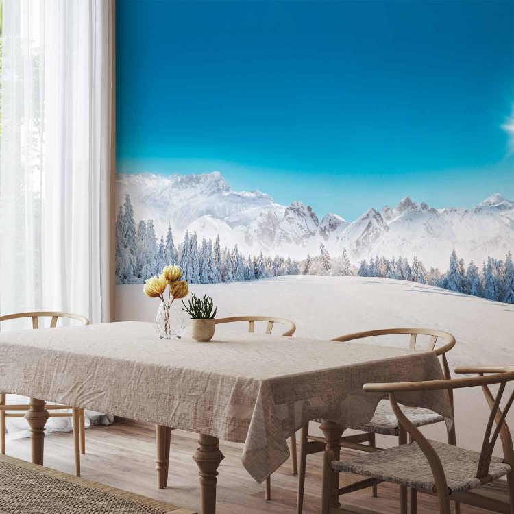 Wall Mural Winter Landscape - Mountain Peaks and Forests Covered With Snow 151866 additionalImage 4