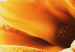 Canvas Art Print Amber magnolias 50066 additionalThumb 5