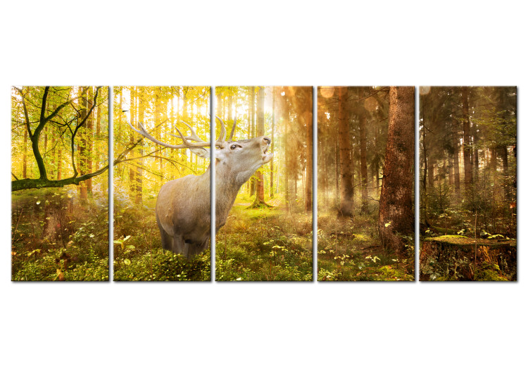 Canvas Art Print Roar in the Forest I 106576
