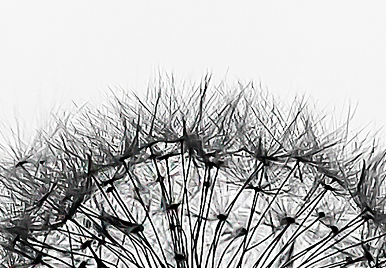 Canvas Print Nature's Lightness (1-part) - Dandelion Flower in Black and White 114976 additionalImage 4