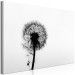 Canvas Print Nature's Lightness (1-part) - Dandelion Flower in Black and White 114976 additionalThumb 2