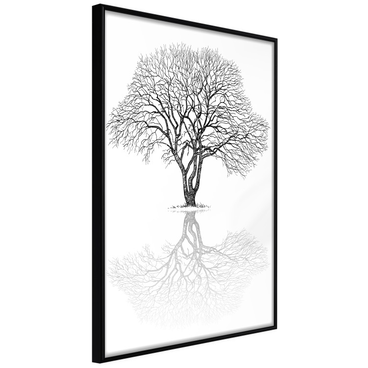 Wall Poster Tree reflection - black and white simple composition with a plant motif 115076 additionalImage 7