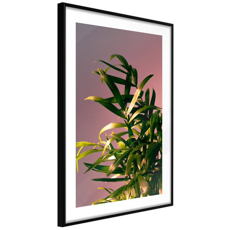 Wall Poster Botanical Detail - green leaves in light glow on pink background 123976 additionalImage 11