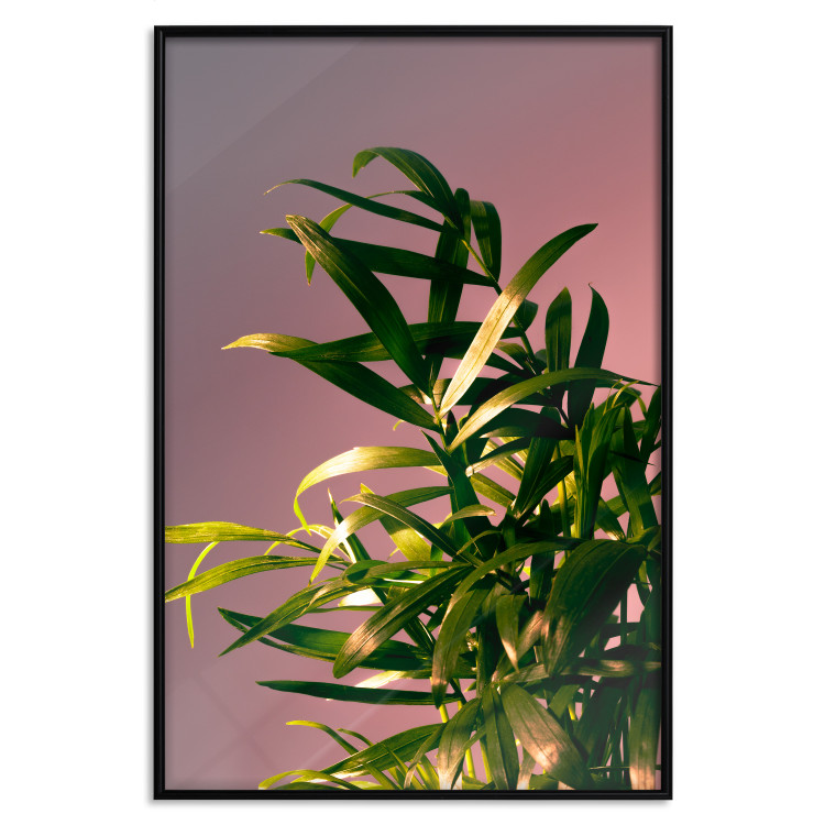 Wall Poster Botanical Detail - green leaves in light glow on pink background 123976 additionalImage 18