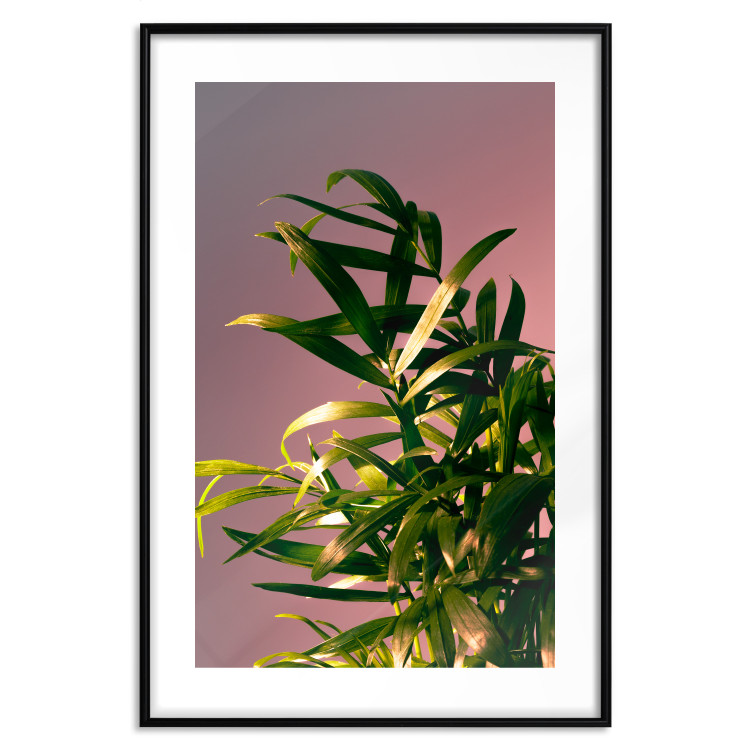 Wall Poster Botanical Detail - green leaves in light glow on pink background 123976 additionalImage 15