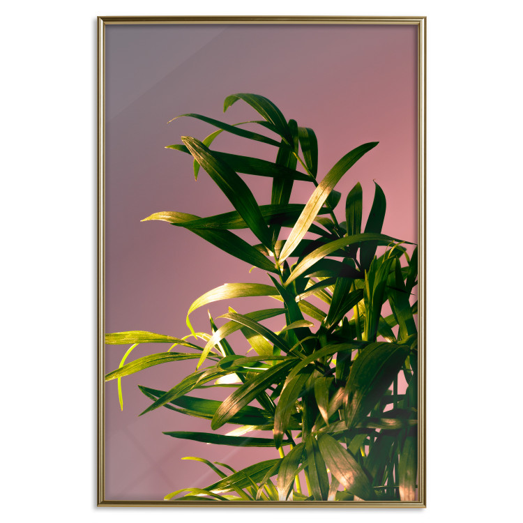 Wall Poster Botanical Detail - green leaves in light glow on pink background 123976 additionalImage 16