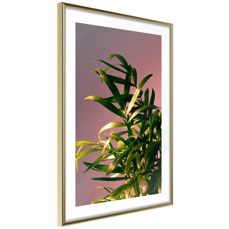 Wall Poster Botanical Detail - green leaves in light glow on pink background 123976 additionalImage 6