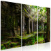 Canvas Art Print Temple of Preah Khan - Asian architecture full of plants 124376 additionalThumb 2